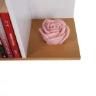 Könyvespolc 0000235854