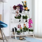 Összecsukható állvány 0000255639