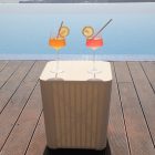 Kerti tároló doboz 0000277740