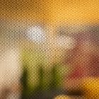 Kerti sátor 0000298809