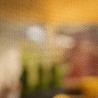 Kerti sátor 0000298809