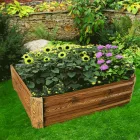 Magaságyás 0000306375