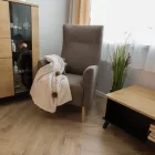 Füles fotel 0000339289
