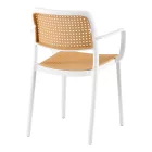 Műanyag kerti szék 0000373361