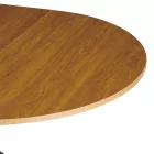 Bővíthető kerek étkezőasztal A00787