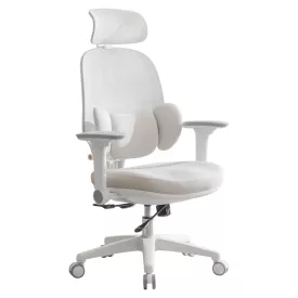 Ergonómikus irodai szék F11906
