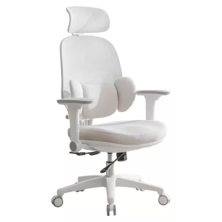 Ergonómikus irodai szék F11906