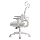 Ergonómikus irodai szék F11906
