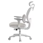 Ergonómikus irodai szék F11906