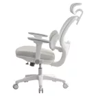 Ergonómikus irodai szék F11906