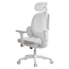 Ergonómikus irodai szék F11906