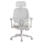 Ergonómikus irodai szék F11906
