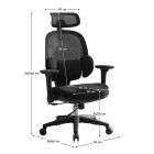 Ergonómikus irodai szék F11907