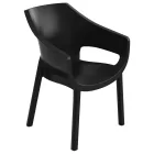 Műanyag szék 1099095445