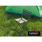 Összecsukható kempingszék 1155731264