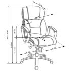 Vezetői forgószék 2010000341315