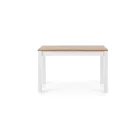 Fa asztallapos étkezőasztal T13008