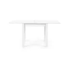 Fa asztallapos étkezőasztal T12995