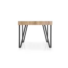 Fa asztallapos étkezőasztal T13448