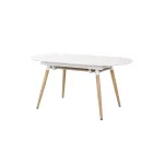 Fa asztallapos étkezőasztal T18727