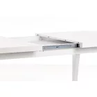 Fa asztallapos étkezőasztal T17099