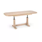 Dohányzóasztal fa 2010001166634