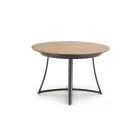 Fa asztallapos étkezőasztal T17109