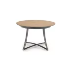 Fa asztallapos étkezőasztal T17109