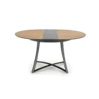 Fa asztallapos étkezőasztal T17109