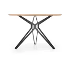 Fa asztallapos étkezőasztal T14610