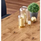 Fa asztallapos étkezőasztal T18358