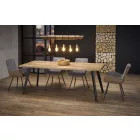 Fa asztallapos étkezőasztal T24308