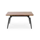 Fa asztallapos étkezőasztal T22948