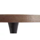 Fa asztallapos étkezőasztal T19408