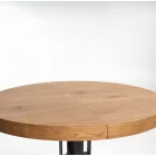 Fa asztallapos étkezőasztal T22483