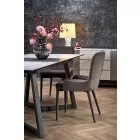 Fa asztallapos étkezőasztal T20446