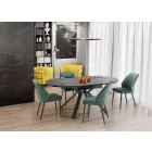 Fa asztallapos étkezőasztal T20447