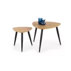 Dohányzóasztal szett 2 db 2010001184836