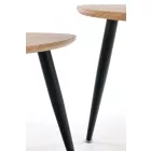 Dohányzóasztal szett 2 db 2010001184836