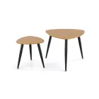 Dohányzóasztal szett 2 db 2010001184836