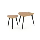 Dohányzóasztal szett 2 db 2010001184836