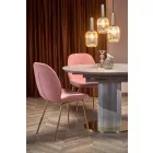 Étkezőasztal T23308