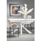 Fa asztallapos étkezőasztal T23110