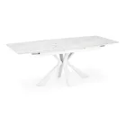 Fa asztallapos étkezőasztal T23110