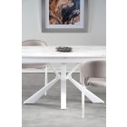 Fa asztallapos étkezőasztal T23110