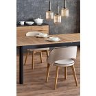 Fa asztallapos étkezőasztal T22694