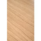 Fa asztallapos étkezőasztal T23601