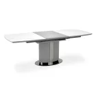 Étkezőasztal T24684