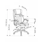Ergonómikus irodai szék 2010001200086