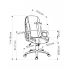 Ergonómikus irodaszék 2010001200130